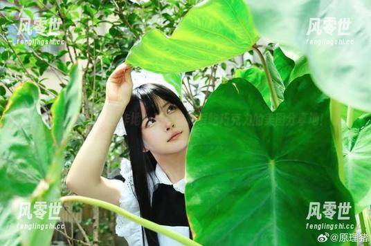 办公室不止是工作地，更是白莉爱吃巧克力的美图分享地！