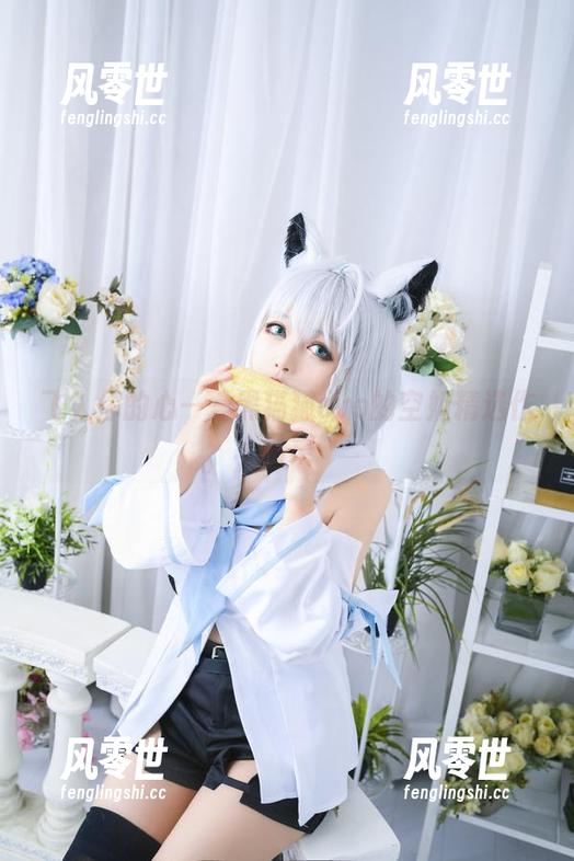 飞入你的心——黑猫猫ovo的空姐精选作品集